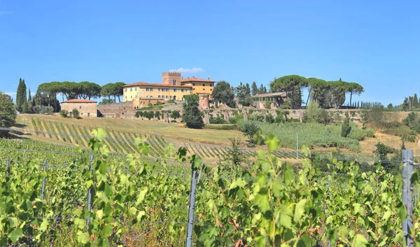 Farm Building Hill Tuscany Vineyard — Stock Photo, Image