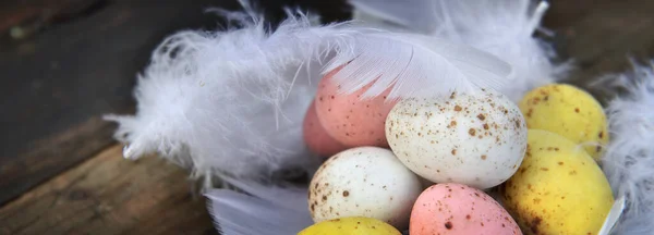 Gros Plan Sur Les Œufs Pâques Peints Plumes Blanches Sur — Photo