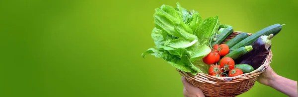 Cesto Pieno Verdure Fresche Possesso Mano Uomo Isolato Sfondo Verde — Foto Stock