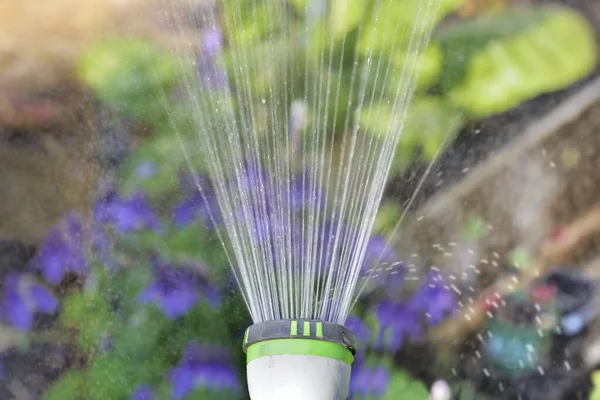 Close Van Water Dat Uit Een Tuinslang Komt Een Tuin — Stockfoto