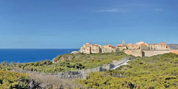View Famous Fortress Bonifacio Corsica Path Bush Blue Sky — Stock fotografie