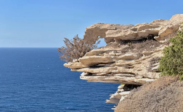 Close Formation Cliff Limestone Overlooking See Corsica Bonifacio — Stockfoto