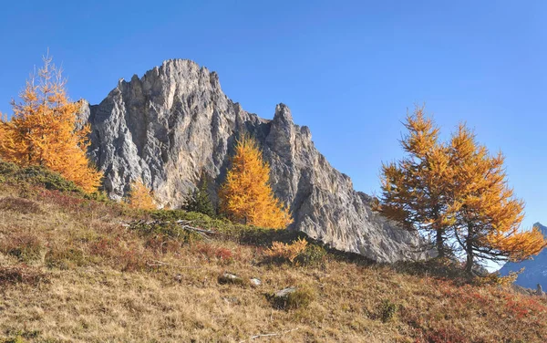 Yellow Larche Trees Beautiful Rocky Alpine Mountain Blue Sky Autumn — Fotografia de Stock