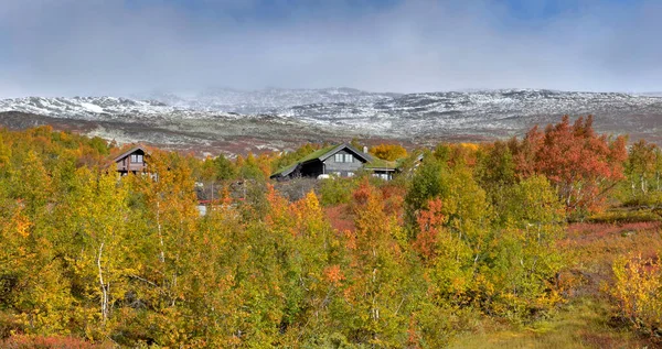 Colrorful Strom Listoví Zelenou Střechou Typického Domu Norsku Zasněžené Horské — Stock fotografie