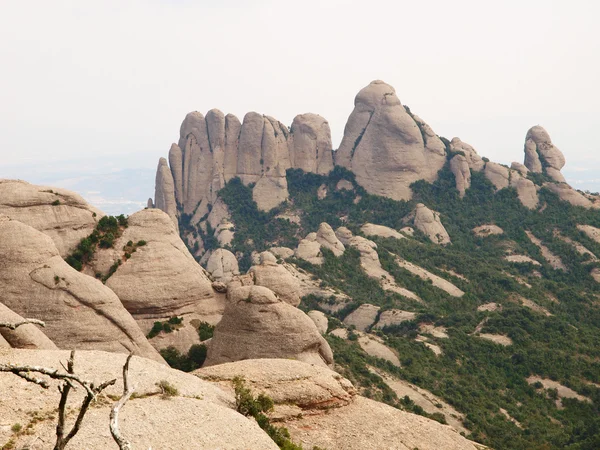 Härligt berg — Stockfoto