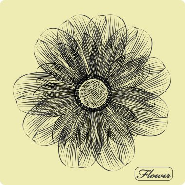 şık çiçek backgrounds.logo.