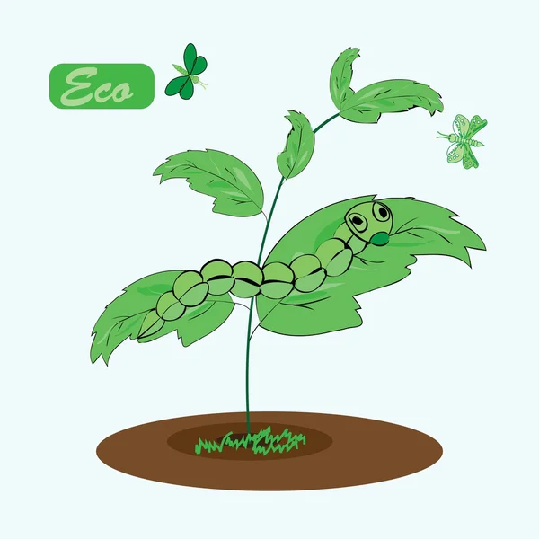 Ícone ambiental com planta eco — Vetor de Stock