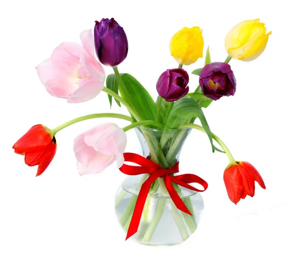 Tulips — Stock Photo, Image