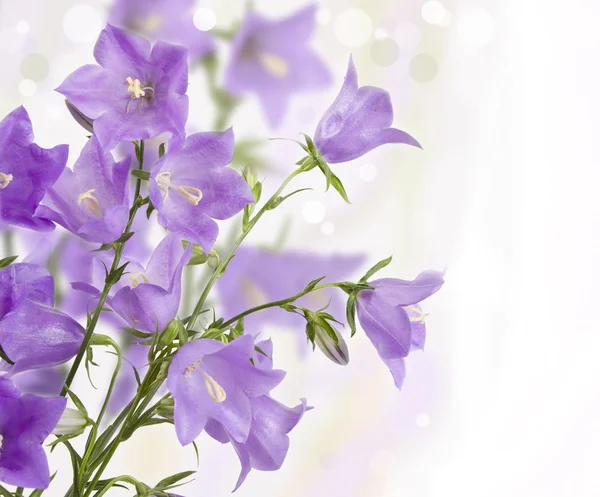 Bouquet of hand bells — Stock Photo, Image