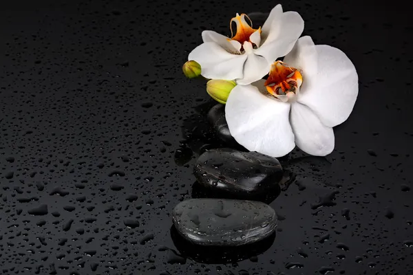 Spa Stone — Stock Photo, Image