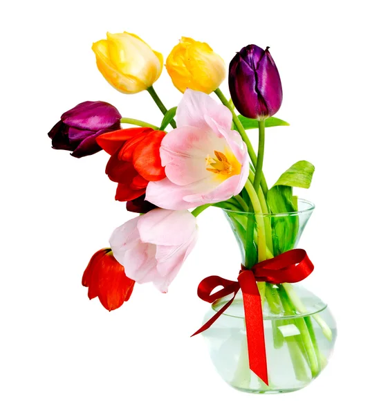 Tulips — Stock Photo, Image