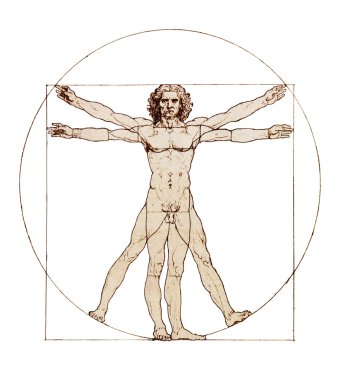 Da Vinci'nin Vitruvius Adamı beyaz izole