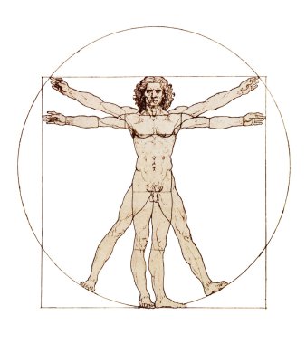 Da Vinci's Vitruvian Man isolated on white clipart