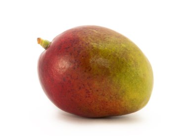 Mango beyaz üzerine izole