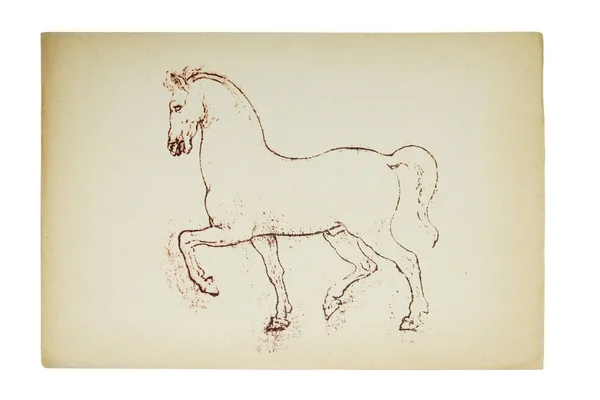 Cavalo esboçado por Leonardo Da Vinci — Fotografia de Stock