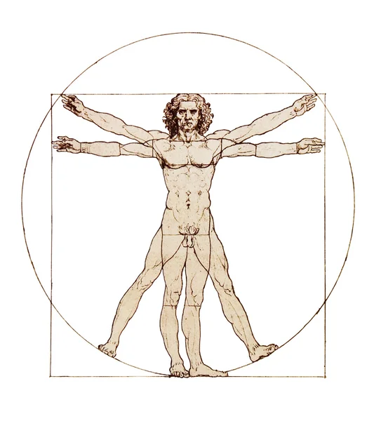 Da Vinci's Vitruvian Man isolated on white — Stock Photo, Image