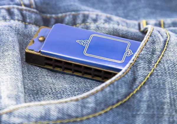 Modré harmonika v kapse — Stock fotografie