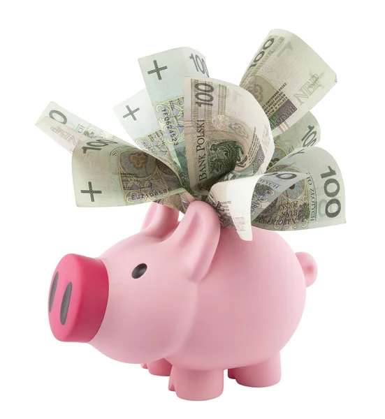 Piggy bank met Pools geld. uitknippad opgenomen. — Stockfoto