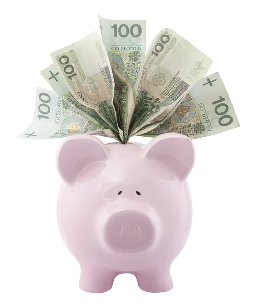 Sparschwein mit polnischem Geld. Schneidpfad inklusive. — Stockfoto