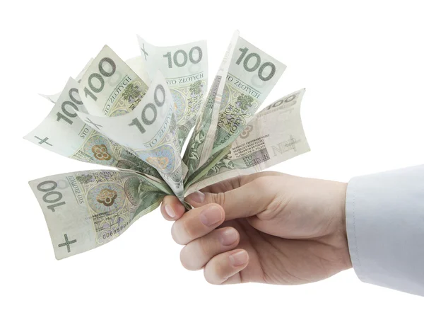 Polieren Sie Geld in der Hand. Schneidpfad inklusive. — Stockfoto