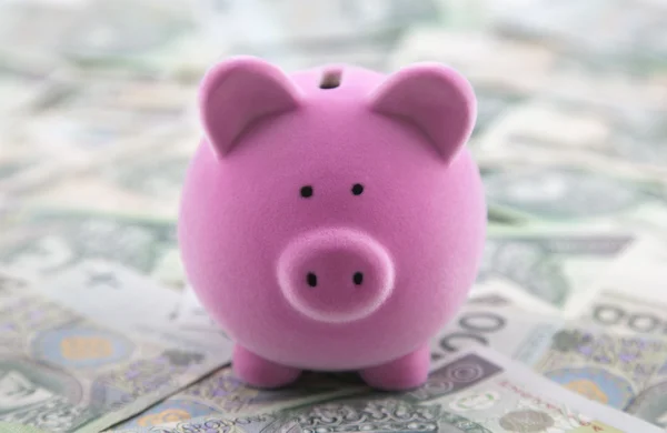 Piggy bank op poets geld — Stockfoto
