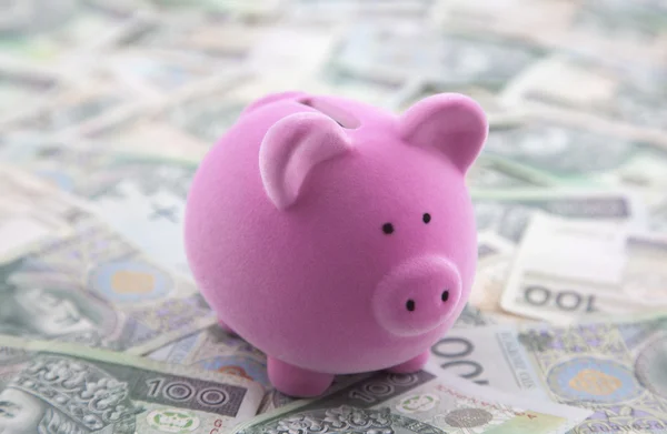 Piggy bank op poets geld — Stockfoto