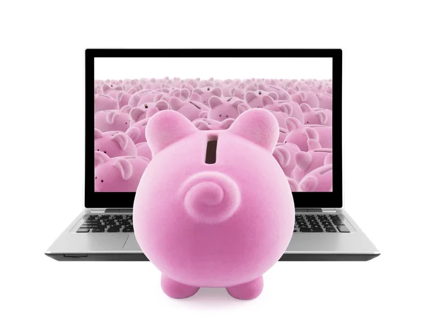 Piggy bankalar ve üzerinde beyaz izole laptop — Stok fotoğraf