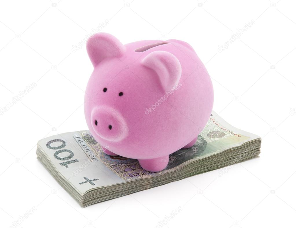 Piggy bank on polish money with clipping path