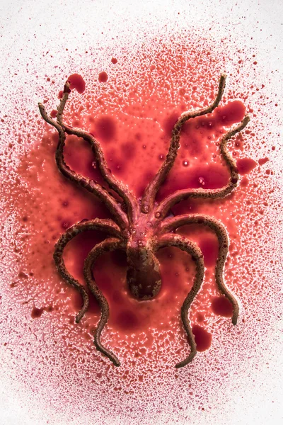 スプラッシュ血液の背景にタコ — ストック写真