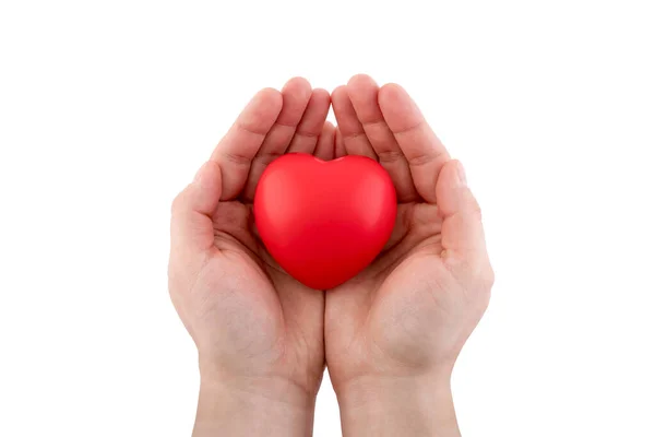 Rött Hjärta Händerna Isolerad Vit Bakgrund Med Klippning Väg Sjukförsäkring — Stockfoto