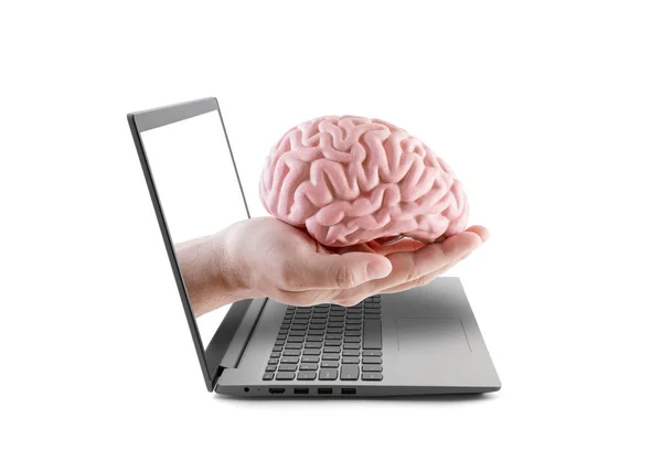 Human Brain Hand Out Laptop Screen Isolated White — Stock Photo, Image