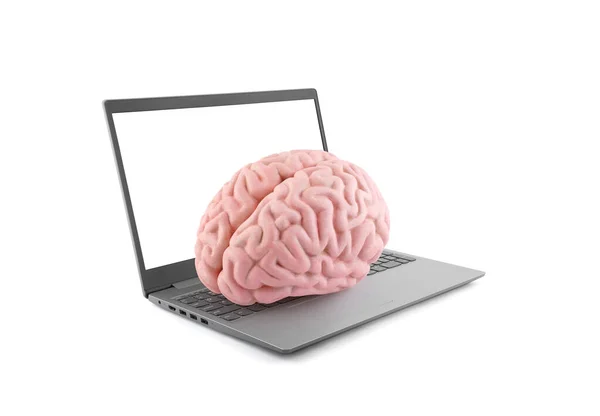 Human Brain Laptop Isolated White Background — Stock Photo, Image
