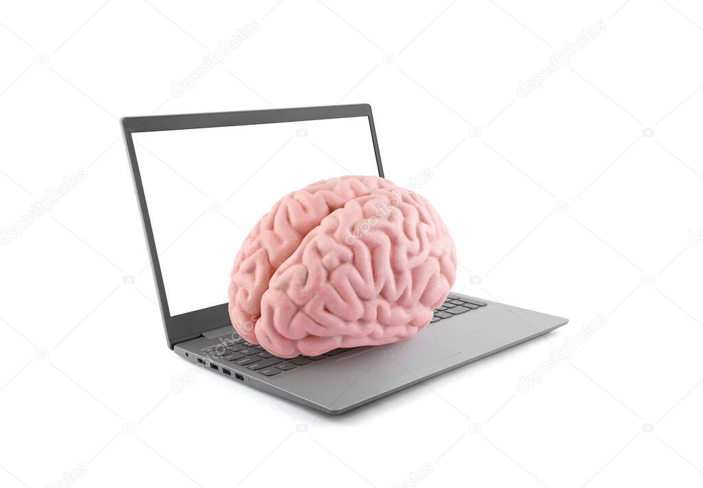 Human brain on laptop isolated on white background