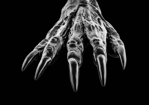 Griezelige Monster Hand Geïsoleerd Zwarte Achtergrond Met Clipping Pad — Stockfoto