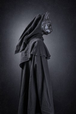 Gecenin karanlığında sisli arka planda kapüşonlu pelerinli kara kedi