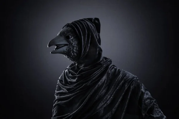 Black Bird Hooded Cloak Night Dark Misty Background — Stock Photo, Image