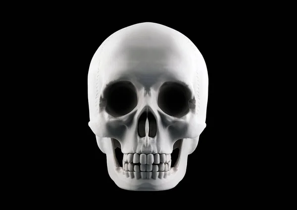 人間の頭蓋骨は クリッピングパスを持つ黒の背景に隔離された — ストック写真