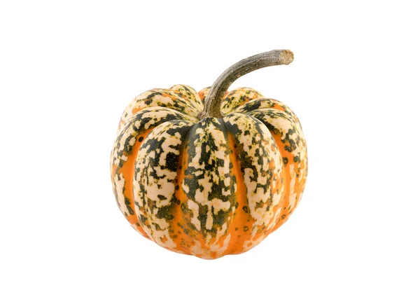 Orange Decorative Pumpkin Isolated White Background Clipping Path Stock Picture