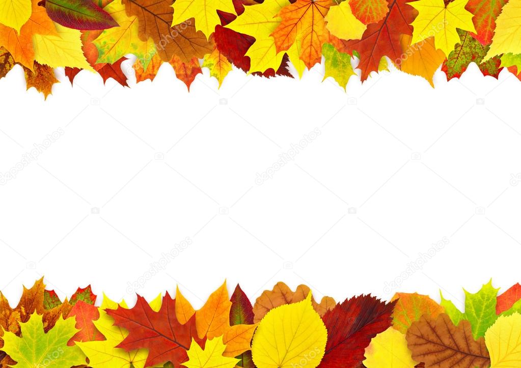 Colorful autumn leaves border