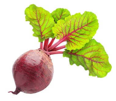 Beetroot clipart