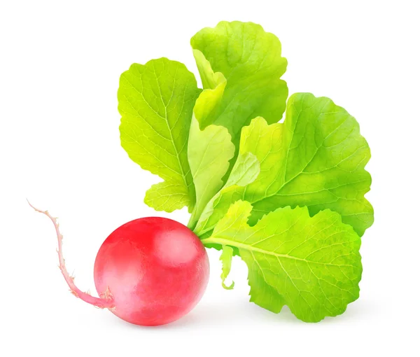 Red radish — Stock Photo, Image