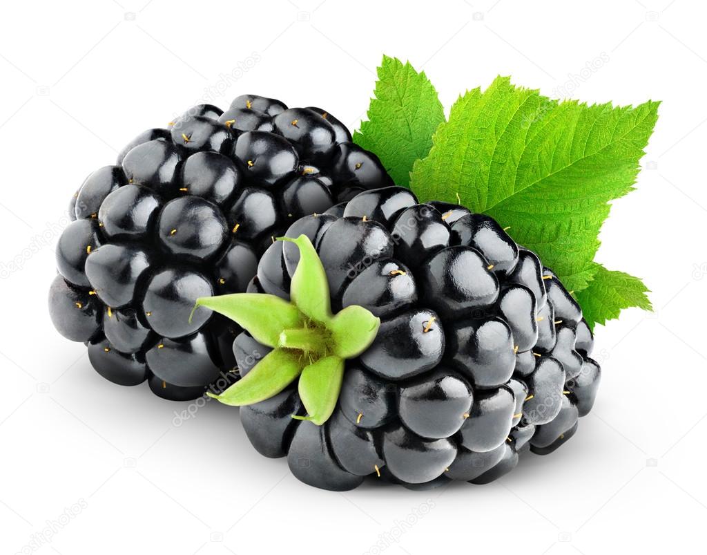Blackberries — Stock Photo © photomaru 25531167