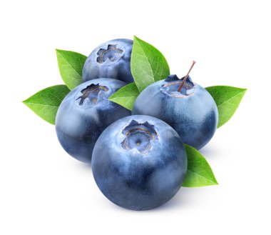 Fresh blueberries clipart