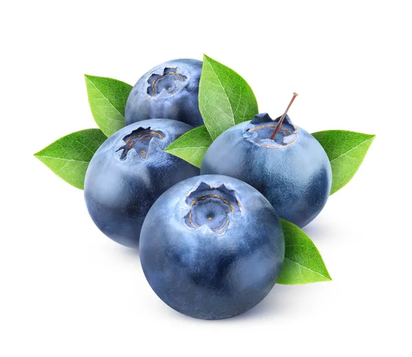 Fresh blueberries — Stock Photo, Image