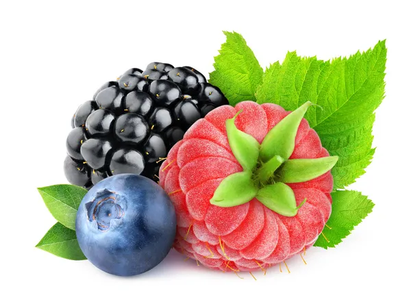 Fresh berries — Stock Photo, Image