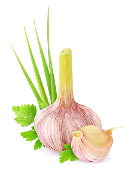 Knoblauch — Stockfoto