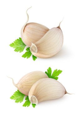 Garlic clipart