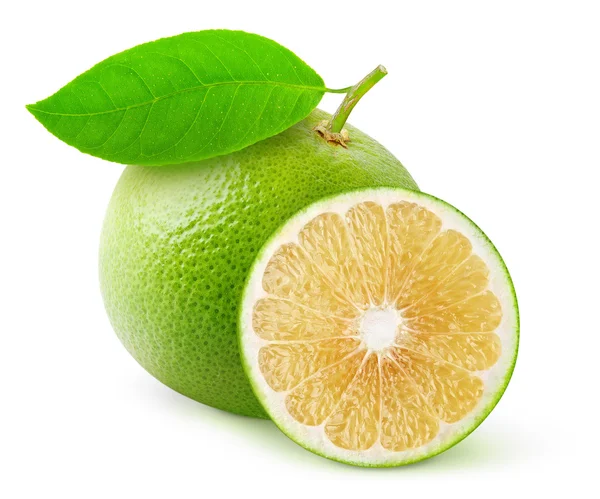 Weiße Grapefruit — Stockfoto