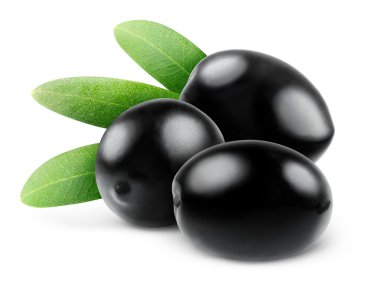 siyah zeytin