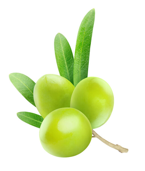 Зеленые оливки
